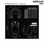 ADDICTED TOYS LOCKED - ZABRONIONE SKRZYNKI PENIS CAGE 10 CM
